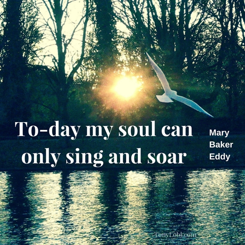 "Singing and soaring" by Tony Lobl.